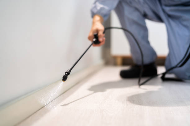 Licensed Pest Control service in Goose Creek Village, VA - Show Me Pest Control