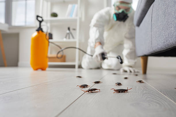 Commercial Kitchen Cockroach Control in Goose Creek Village