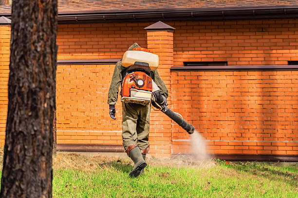 Cockroach Follow-Up and Monitoring in Goose Creek Village